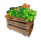 CAJA HUERTO VINTAGE ECO AGREEN