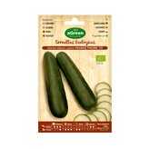 SOBRE CON SEMILLAS ECO DE PEPINO MARKETMORE AGREEN