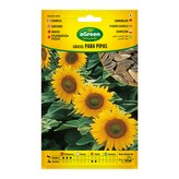 SOBRE CON SEMILLAS DE GIRASOL PARA PIPAS 301024BOLSH AGREEN