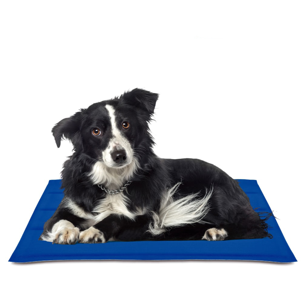 ALFOMBRILLA REFRESCANTE COOL MAT GEL AZUL 50x90cm NAYECO - Ítem