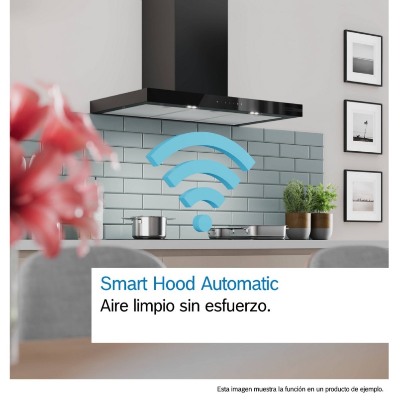 CAMPANA DECORATIVA 60 cm INOX MATE CON CRISTAL BOSCH DWB67DN30 4