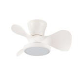 VENTILADOR DE TECHO CRISTAL MOLL 20W MD
