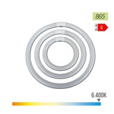 TUBO FLUORESCENTE CIRCULAR 32W Ø30cm TRIFOSFORO 6500K LUZ FRIA PHILIPS