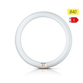 TUBO FLUORESCENTE CIRCULAR 22W Ø21cm TRIFOSFORO 840K LUZ DIA PHILIPS