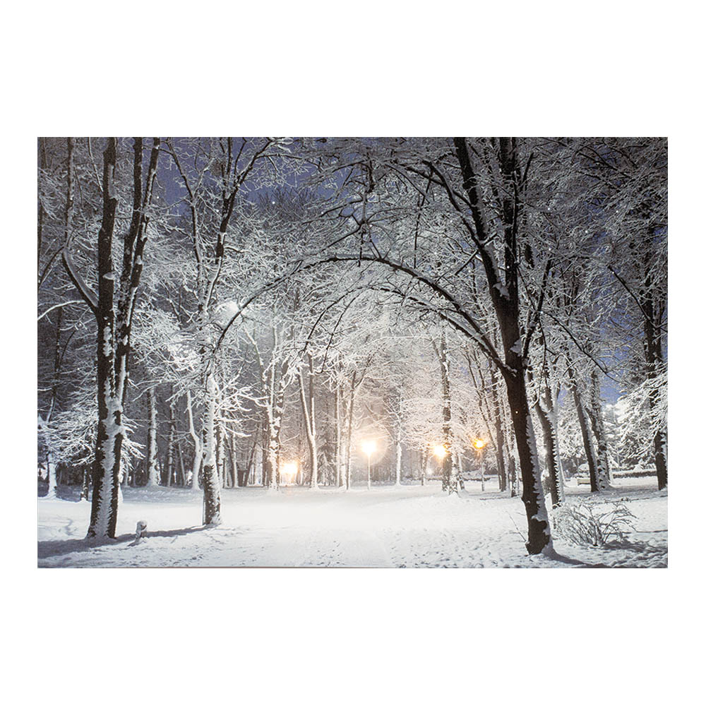 CUADRO LED PAISAJES NEVADOS 58x1,5x38cm 6 LEDS 2 MODELOS SURTIDOS - Ítem