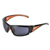 GAFAS DE PROTECCION ARMEX GRIS COFRA