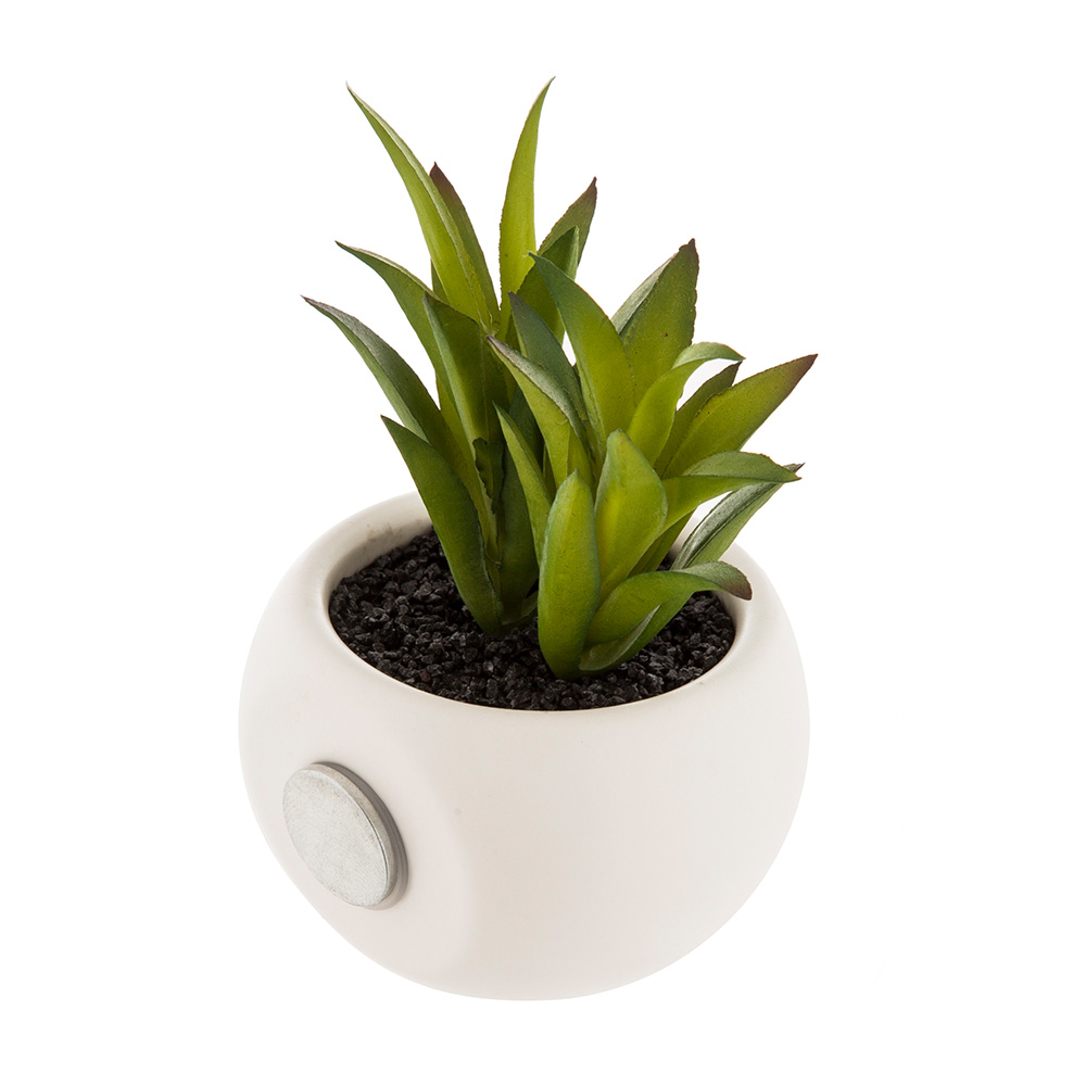 MINI PLANTAS DECORATIVAS CON IMAN MODELOS SURTIDOS 6cm