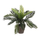 PALMERA SAGO (CYCA REVOLUTA) PVC CON MACETA GRIS 33x11.5cm