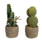 CACTUS ARTIFICAL MODELOS SURTIDOS DE 28cm 808447